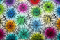 Mobile Preview: Designer- Baumwollstoff Bloom multicolor (10 cm)